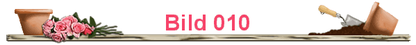 Bild 010